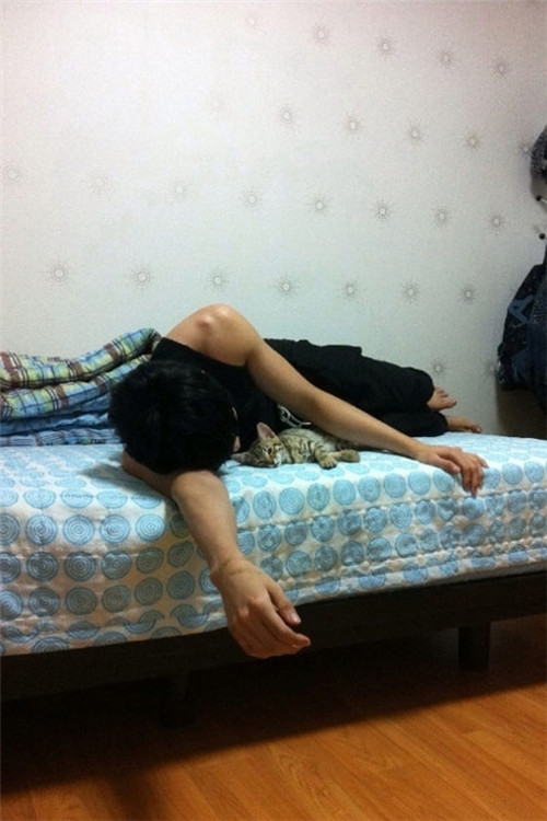 Thành viên MBLAQ Thunder ngủ cùng mèo con.