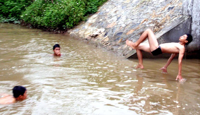 Những cú thả người, nhào lộn rất chuyên nghiệp.