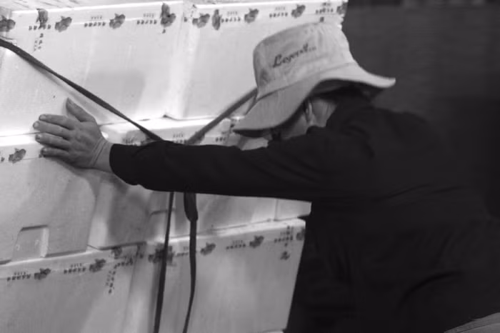 Các chị cửu vạn thay nhau kéo và đẩy những chuyến hàng nặng trên 100kg