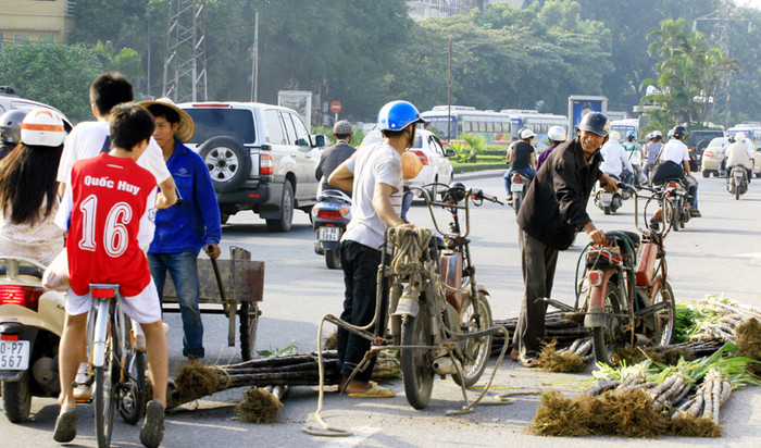 Lòng đường Hà Nội đang trở thành nơi buôn bán... mía Lòng đường Hà Nội đang trở thành nơi buôn bán... mía
