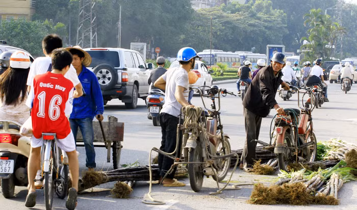 Lòng đường Hà Nội đang trở thành nơi buôn bán... mía
