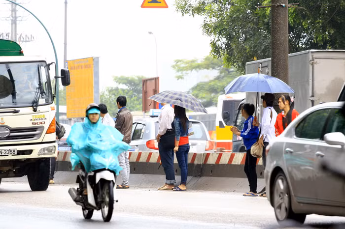 "Liều mình" băng ngang qua đường giữa các dòng xe cộ bất chấp nguy hiểm "Liều mình" băng ngang qua đường giữa các dòng xe cộ bất chấp nguy hiểm