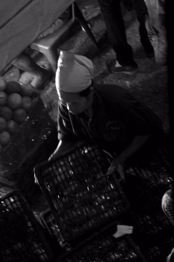 Bàn tay nhanh thoăn thoắt chuyển hàng không kém gì nam giới