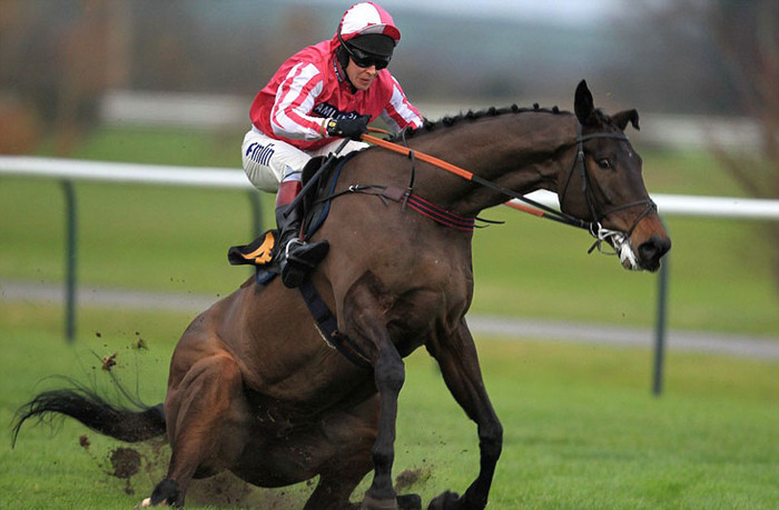 Chú ngựa Harry Le Fise Lake điều khiển bởi Richard Johnson sẩy chân trong lúc tham dự cuộc đua The Robbie Future tại Birmingham, Anh