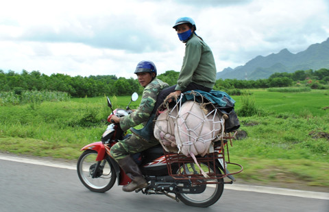 "Cấp cao" phải ngồi cao chứ? "Cấp cao" phải ngồi cao chứ?