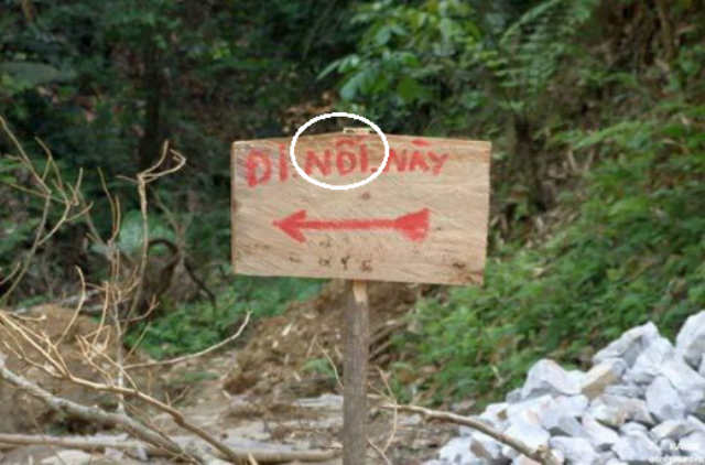 Đi lối này. Đi lối này.