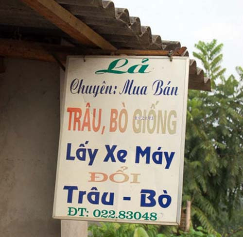 Hàng đổi hàng. Hàng đổi hàng.