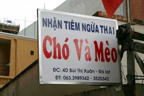 Hãy đến với bác sỹ thú y ngừa thai! Hãy đến với bác sỹ thú y ngừa thai!