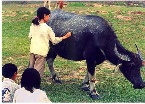 Bảng viết chỉ có ở Việt Nam. Bảng viết chỉ có ở Việt Nam.