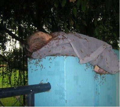 Cư dân mạng đang share hình ảnh đau lòng "một đứa trẻ bị bỏ rơi" khiến những người nhìn vào thật đau xót. (Nguồn: Facebook)