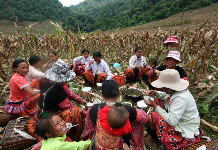 Một bữa cơm trên nương ở Lóng Sập (Mộc Châu – Sơn La)