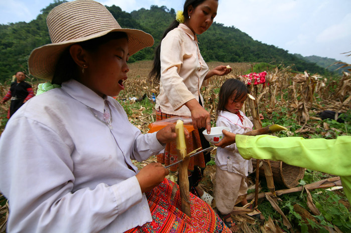 Nhưng trong mỗi thân mía ngô ấy, trẻ em vùng cao như thấm thía được bài học “vắt đá lấy bắp”. Trẻ em sẽ quen và quý trọng cuộc sống lao động hơn.