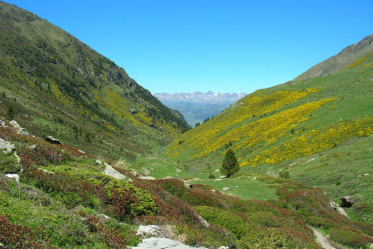 Muốn tới được thung lũng Eyne này bạn chỉ có một cách là đi bộ. Nhờ vậy, nơi đây vẫn còn nguyên nét hoang sơ kiều diễm.