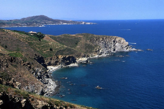 Mũi Cerbère thật sự là một nơi đáng phải chiêm ngưỡng với khu bảo tồn biển Cerbère-Banyuls rộng lớn.