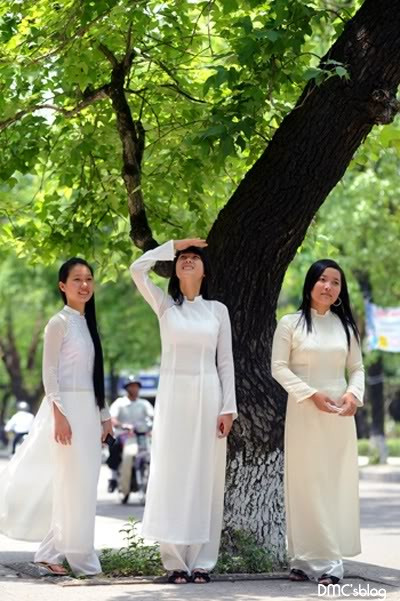 Những con đường xanh ở Huế đã gắn liền nữ sinh với nhiều kỷ niệm học trò khó quên. Những con đường xanh ở Huế đã gắn liền nữ sinh với nhiều kỷ niệm học trò khó quên.