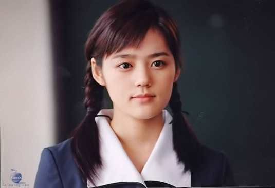 Han Ga In