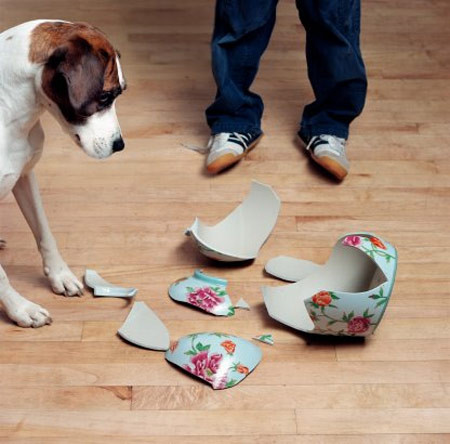 Kiêng làm vỡ các đồ vật: Ông bà ta quan niệm sự đổ, vỡ vật dụng tạo nên sự chia cắt, đứt lìa và là điềm báo không may cho cả năm. Vì thế cần hết sức thận trọng khi sử dụng các đồ vật dễ vỡ như đồ thủy tinh, sành sứ... Kiêng làm vỡ các đồ vật: Ông bà ta quan niệm sự đổ, vỡ vật dụng tạo nên sự chia cắt, đứt lìa và là điềm báo không may cho cả năm. Vì thế cần hết sức thận trọng khi sử dụng các đồ vật dễ vỡ như đồ thủy tinh, sành sứ...