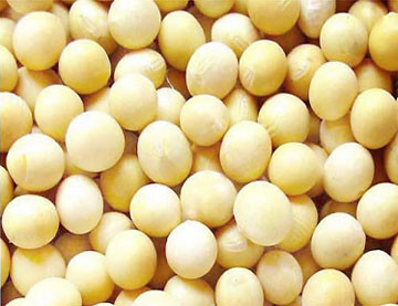 Làm mờ vết thâm. Ngân 500 gam dấm chua cùng 250 gam đậu nành trong 15 ngày. Sau đó cứ sau mỗi bữa ăn lại dùng từ 10 đến 15 hạt đậu nành ngâm trong dấm để ăn. Phương pháp này rất có hiệu quả trong việc giảm vết thâm và nhuận tràng. Làm mờ vết thâm. Ngân 500 gam dấm chua cùng 250 gam đậu nành trong 15 ngày. Sau đó cứ sau mỗi bữa ăn lại dùng từ 10 đến 15 hạt đậu nành ngâm trong dấm để ăn. Phương pháp này rất có hiệu quả trong việc giảm vết thâm và nhuận tràng.