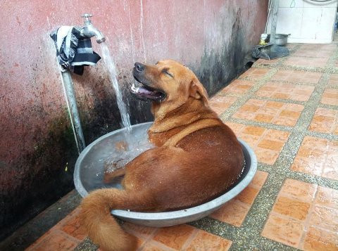 Tận hưởng cuộc sống.