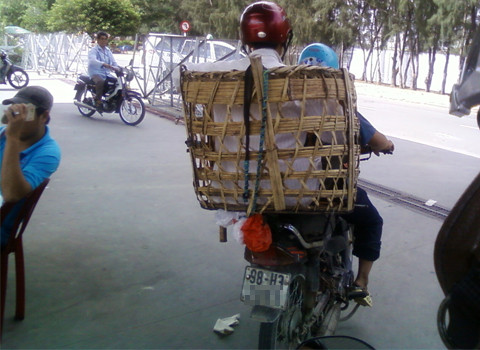 Chỗ ngồi không thoải mái. Ảnh: Vương Ngọc Linh Chỗ ngồi không thoải mái. Ảnh: Vương Ngọc Linh