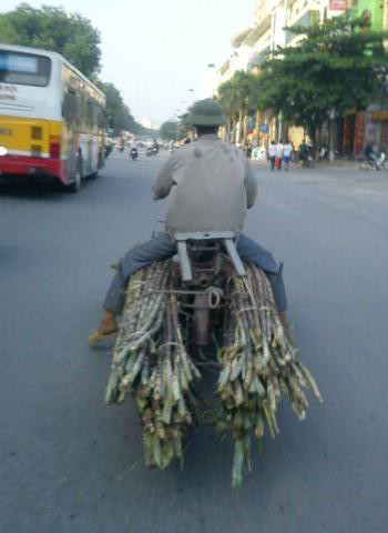 Chở mía về phố, chụp tại đường Nguyễn Trãi, Hà Nội. Ảnh: Nguyễn Tùng Lam Chở mía về phố, chụp tại đường Nguyễn Trãi, Hà Nội. Ảnh: Nguyễn Tùng Lam