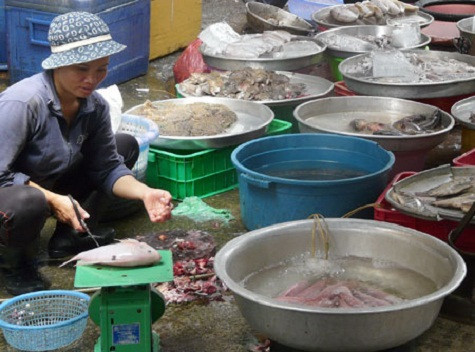 Tiểu thương lo đến khả năng người tiêu dùng cũng sẽ sợ cá như sợ thịt heo những ngày qua. Ảnh: Lê Quân. Tiểu thương lo đến khả năng người tiêu dùng cũng sẽ sợ cá như sợ thịt heo những ngày qua. Ảnh: Lê Quân.