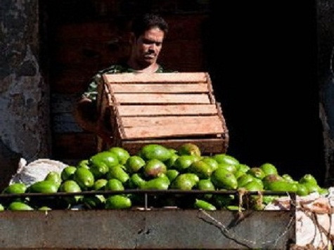 Người dân Cuba chuyển hoa quả tại thủ đô Havana ngày 12/7. AFP/TTXVN