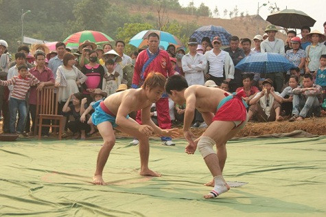 Đấu vật năm nay có 3 hạng Kg tham gia. Hạng 50kg, 60kg và 70kg