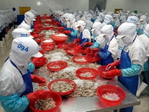 Dây chuyền sản xuất tôm đông lạnh của Nhà máy chế biến thủy sản ở Phan Rang. (Ảnh: Danh Lam/TTXVN) Dây chuyền sản xuất tôm đông lạnh của Nhà máy chế biến thủy sản ở Phan Rang. (Ảnh: Danh Lam/TTXVN)