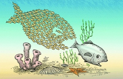 Việc mổ xẻ nguyên nhân dẫn đến các ngân hàng mất thanh khoản và bị sáp nhập kể cũng đáng được quan tâm.