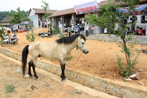 Chợ vùng cao phía Bắc là một trong chuỗi những hoạt động nhân Ngày văn hóa các dân tộc Việt Nam. Chợ khai mạc vào sáng nay, và diễn ra trong cả tuần lễ.