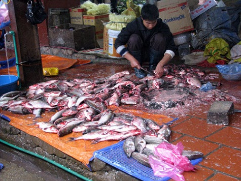 Vấn đề an toàn vệ sinh thực phẩm luôn là đề tài được nhiều người quan tâm (Ảnh: Vef) Vấn đề an toàn vệ sinh thực phẩm luôn là đề tài được nhiều người quan tâm (Ảnh: Vef)