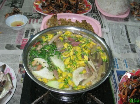 Canh bông điên điển Điên Điển hay Điền Thanh thân tía, Điền Thanh bụi có tên khoa học là Sesbania sesban, là một loài cây thuộc họ đậu (Fabaceae). Bông Điên Điển được xem là là một loại rau ở miền đồng bằng Nam Bộ của Việt Nam. Người ta sử dụng nó làm dưa chua, nấu canh, làm gỏi, hay chế biến những món xào như bông điên điển xào với tép rong, bông Điên Điển xào thịt ba chỉ, và món ăn đặc trưng nhất của bông Điên Điển với người dân miền Tây đó là bánh xèo bông Điên Điển… Canh bông điên điển Điên Điển hay Điền Thanh thân tía, Điền Thanh bụi có tên khoa học là Sesbania sesban, là một loài cây thuộc họ đậu (Fabaceae). Bông Điên Điển được xem là là một loại rau ở miền đồng bằng Nam Bộ của Việt Nam. Người ta sử dụng nó làm dưa chua, nấu canh, làm gỏi, hay chế biến những món xào như bông điên điển xào với tép rong, bông Điên Điển xào thịt ba chỉ, và món ăn đặc trưng nhất của bông Điên Điển với người dân miền Tây đó là bánh xèo bông Điên Điển…
