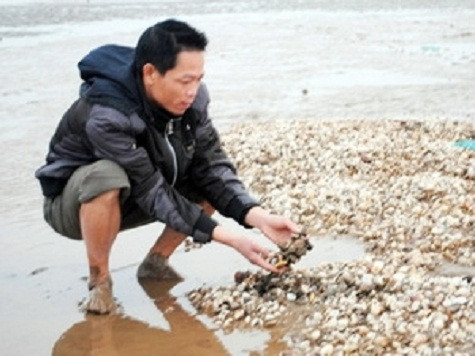 Ảnh minh họa. (Nguồn: Internet) Ảnh minh họa. (Nguồn: Internet)