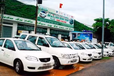 Tập đoàn Mai Linh lỗ nặng trong năm 2011 (Ảnh: Vov )