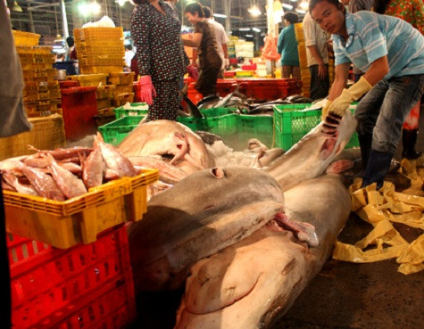 Mỗi ngày, chợ đầu mối Bình Điền có hàng trăm chủng loại thủy hải sản khác nhau được nhập về. Tất cả đều được tiêu thụ trong ngày nên ban quản lý chợ hoặc Chi cục Quản lý chất lượng và nguồn lợi thủy sản TP HCM phát hiện chất cấm thì cũng đã muộn. (Ảnh: Thiên Chương - Vnexpress) Mỗi ngày, chợ đầu mối Bình Điền có hàng trăm chủng loại thủy hải sản khác nhau được nhập về. Tất cả đều được tiêu thụ trong ngày nên ban quản lý chợ hoặc Chi cục Quản lý chất lượng và nguồn lợi thủy sản TP HCM phát hiện chất cấm thì cũng đã muộn. (Ảnh: Thiên Chương - Vnexpress)