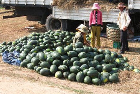 Dưa lên xe đi Trung Quốc Dưa lên xe đi Trung Quốc