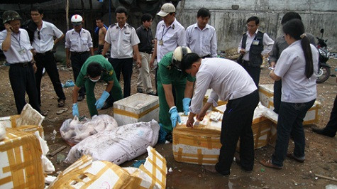 Lực lượng liên ngành kiểm tra số heo thối của hai xe khách Cẩm Vân -Ảnh: Vũ Anh Lực lượng liên ngành kiểm tra số heo thối của hai xe khách Cẩm Vân -Ảnh: Vũ Anh