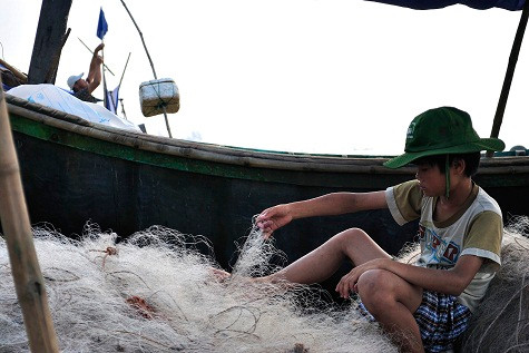 Ngày nghỉ học, các em học sinh tranh thủ ra bãi giúp đỡ gia đình. Ngày nghỉ học, các em học sinh tranh thủ ra bãi giúp đỡ gia đình.