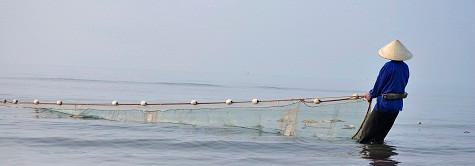 Kéo lưới là một công việc nặng nhọc và đòi hỏi cao về sức khỏe nhưng không ít phụ nữ cũng tham gia. Kéo lưới là một công việc nặng nhọc và đòi hỏi cao về sức khỏe nhưng không ít phụ nữ cũng tham gia.