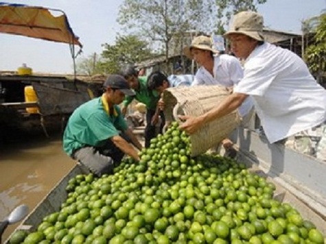Ảnh minh họa. (Nguồn: nongnghiep.vn) Ảnh minh họa. (Nguồn: nongnghiep.vn)