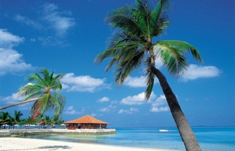 New York Times nhận định, Trung Quốc đã chứng tỏ sức mạnh kinh tế ở gần như mọi ngóc ngách trên thế giới, nhưng việc nước này đổ vốn mạnh vào một khu vực gần Mỹ như Caribbean là một vấn đề đáng lưu tâm.