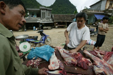 Việc quản lý chất lượng thực phẩm còn lỏng lẻo. Việc quản lý chất lượng thực phẩm còn lỏng lẻo.