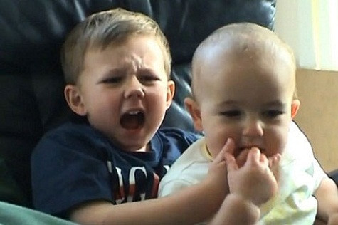 Chủ nhân của "Charlie bit my finger" được chia tới 0,5 triệu đôla từ quảng cáo trên Youtube