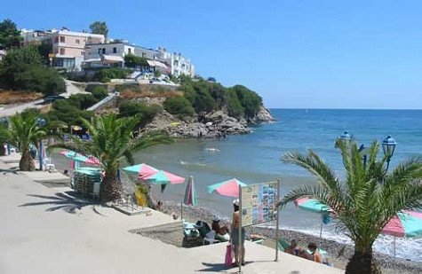 Wilmar dự định đầu tư 300 triệu USD vào Indonesia (Nguồn Internet) Wilmar dự định đầu tư 300 triệu USD vào Indonesia (Nguồn Internet)