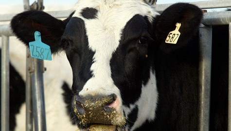 Hình minh họa. Ảnh: RIA Hình minh họa. Ảnh: RIA