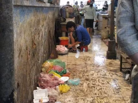 Chế biến thực phẩm ngay bên cạnh nơi đổ rác.