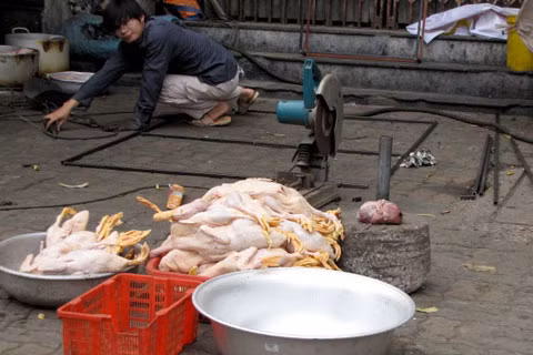 Khâu chế biến cũng khiến nhiều người kinh hoàng. Thực phẩm được bày ngay trên nền đất bẩn. Ảnh VNE.