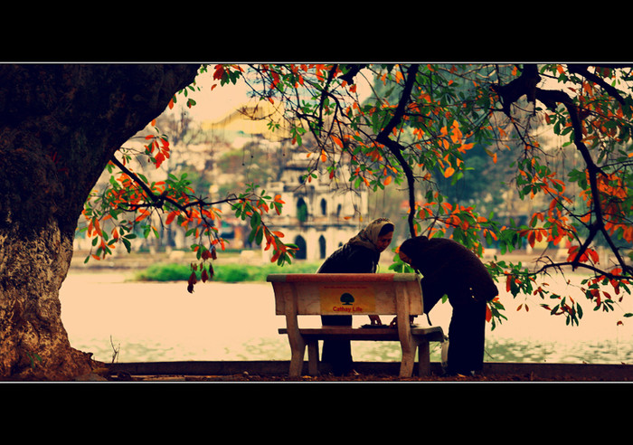 Một buổi sớm mùa đông thật bình yên bên hồ Gươm! Một buổi sớm mùa đông thật bình yên bên hồ Gươm!