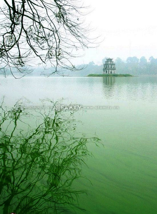 Một màu xanh rất đặc trưng của hồ Gươm. Một màu xanh rất đặc trưng của hồ Gươm.
